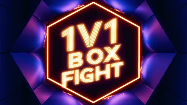 Box Fight 1v1