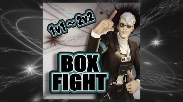 1v1-2v2  BOX FIGHT