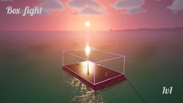 Box fight 1v1🤓