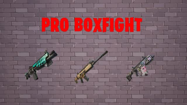 Pro BoxFight