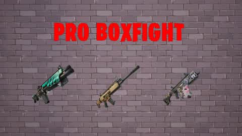 Pro BoxFight