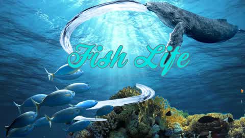 Fish Life