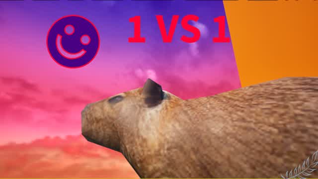 Capybara - 1 vs 1