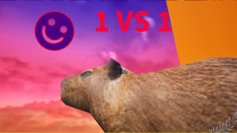 Capybara - 1 vs 1
