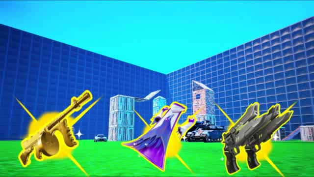 2V2 WITH EVERY GUN