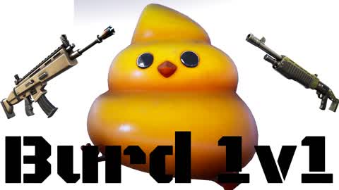 Burd 1v1
