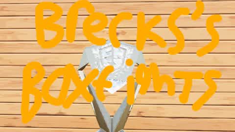 Brecks'sBoxFights