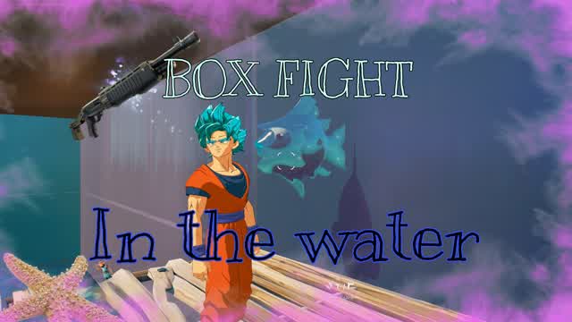 box fight in the water