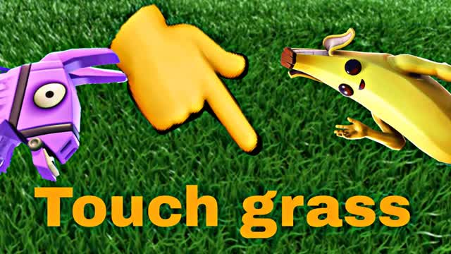 Touch grass