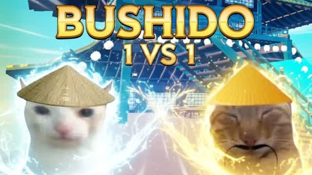 BUSHIDO 1 VS 1
