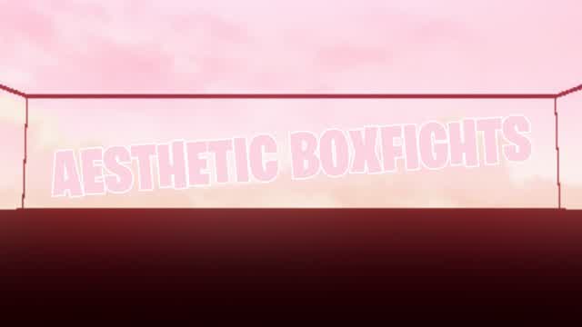 Capture 1 – Aesthetic Box Fights