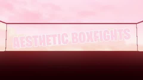 Aesthetic Box Fights
