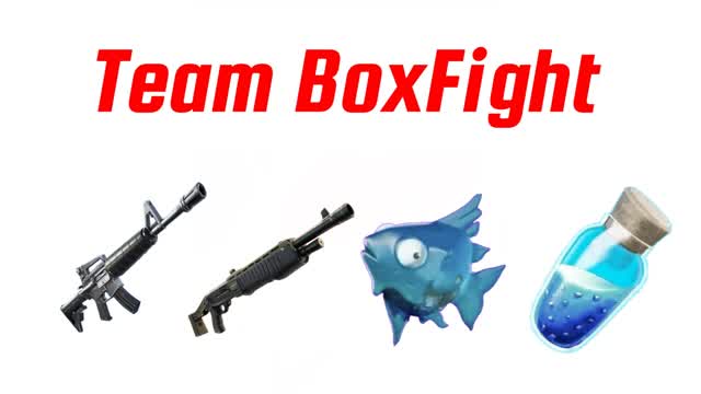 Team BoxFight