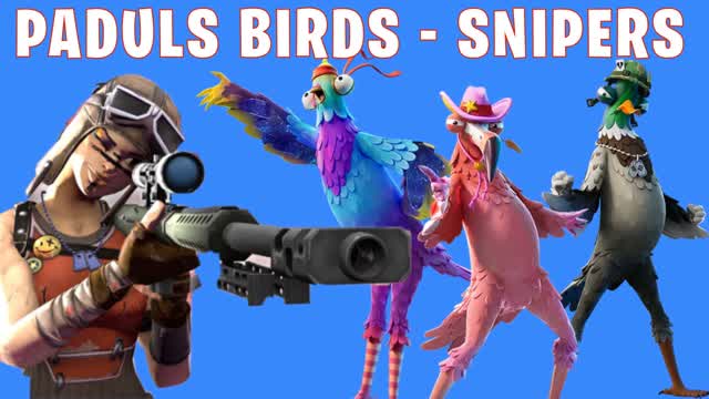 Padul Birds Haunting snipers