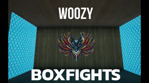 Woozy Box Fight