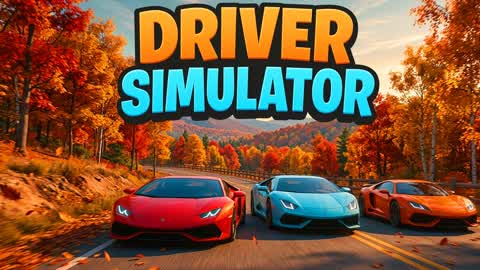 DRIVER SIMULATOR