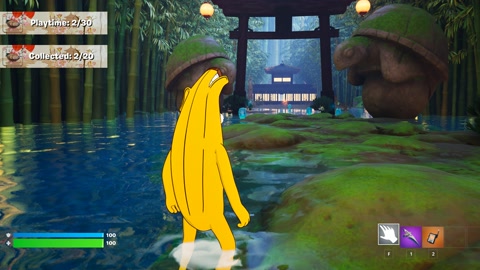 Island image
