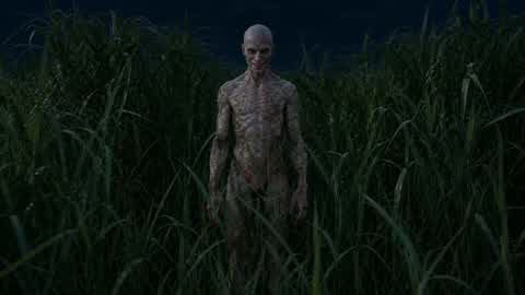 (HORROR) In The Tall Grass