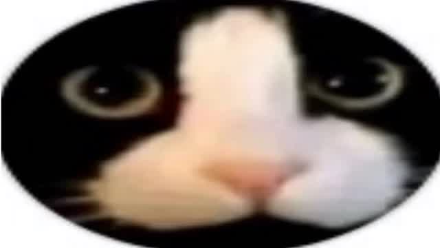 Capture 1 – 🏩ホテル 2人～3人用