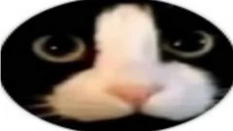 🏩ホテル 2人～3人用