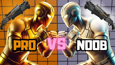 Pro VS Noob