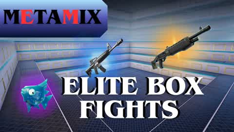 MetaMix_BoxFights