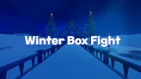 Winter Box Fight