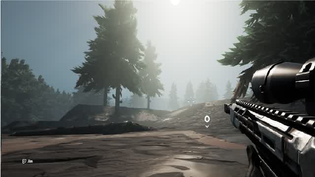 The Woods
