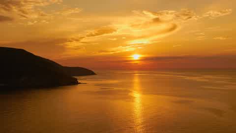Toxic Duo Arena