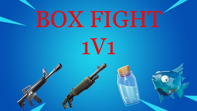 BOX  FIGHT 1V1