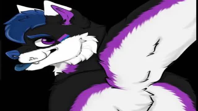 FurryWars (copia)
