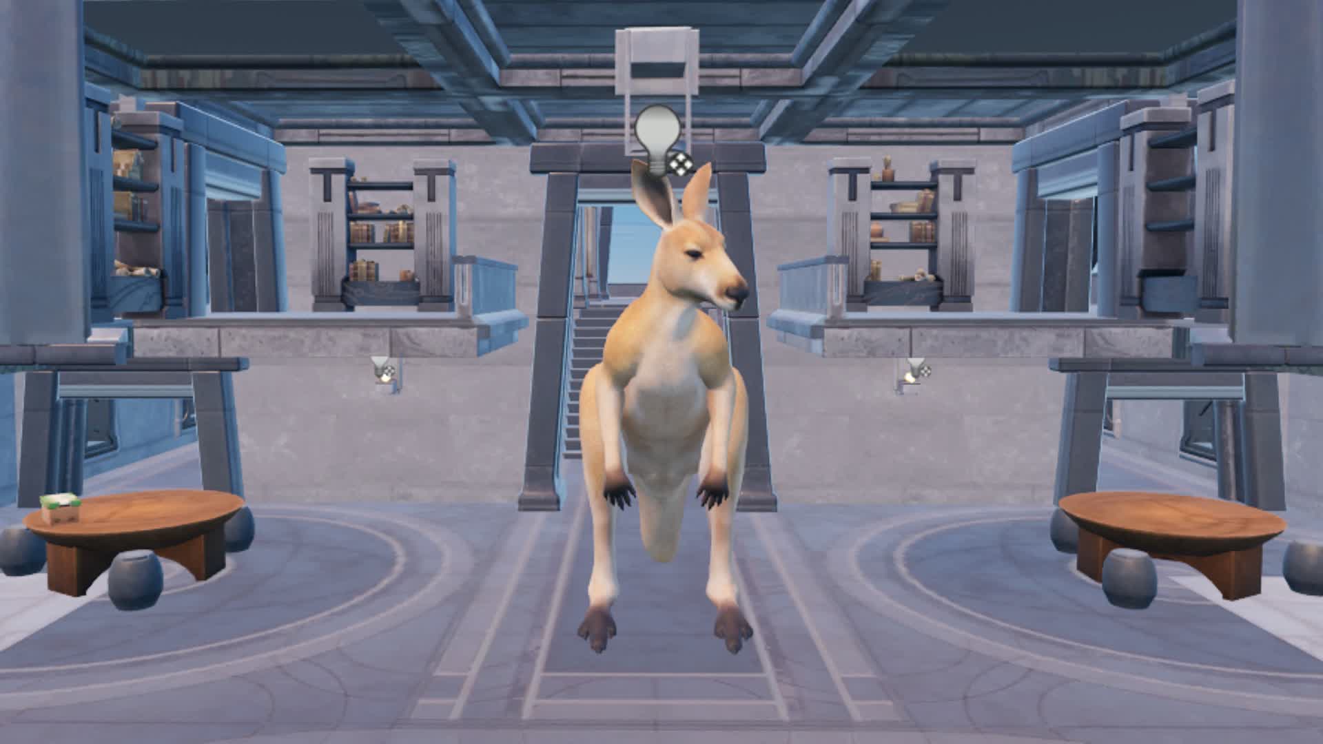 MEET KANGAROO