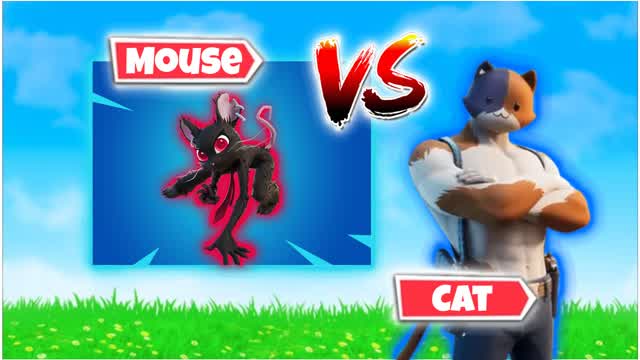 Cat vs Mouse