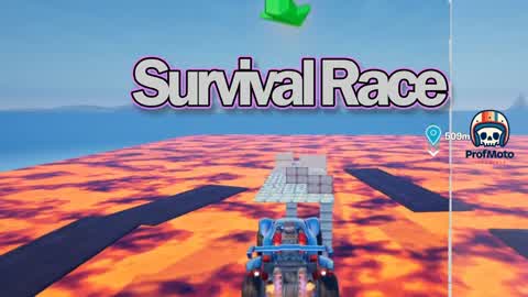 Survival Race