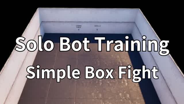 Solo Bot Training Simple Box Fight