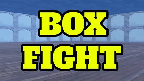BOX FIGHT