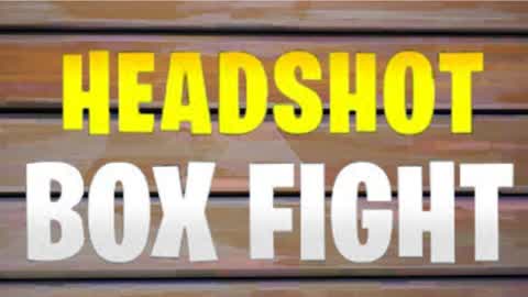Phyzix Headshot Boxfights