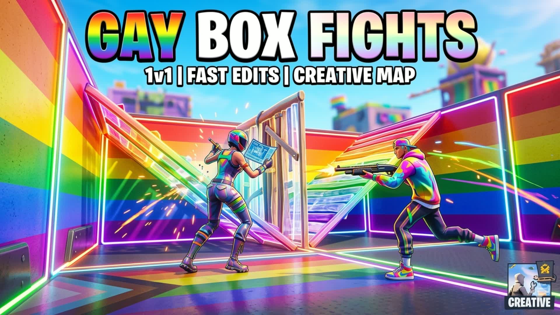 Gay Box Fights