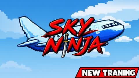 SkyNinja