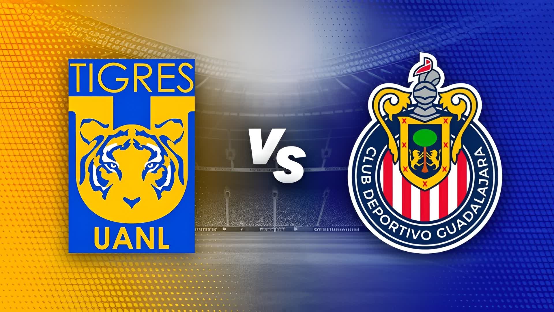 TIGRES vs CHIVAS LIGA MX FUTBOL FIGHT