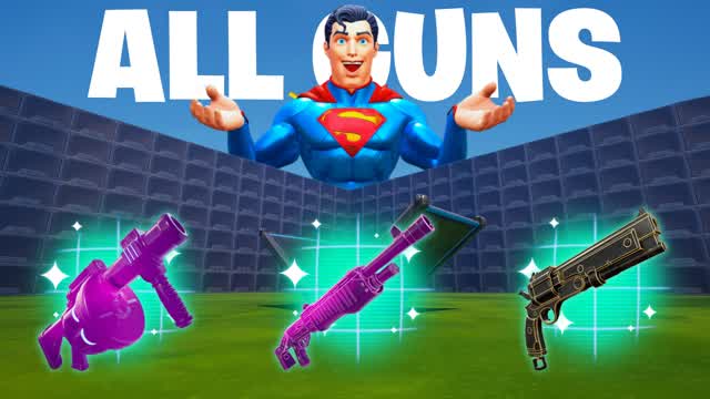 1V1 ULTIMATE ALL GUN