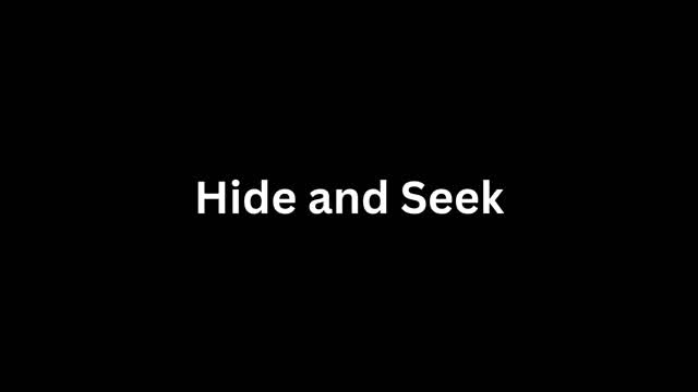 Hide and Seek