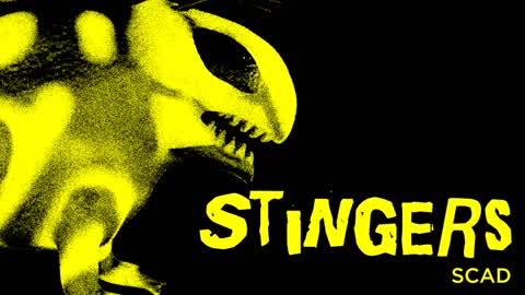 STINGERS (HORROR) - SCAD