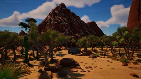 Rally México - Stage 2