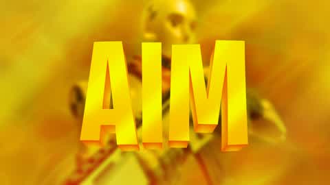 🎯AIM TRAINING🎯