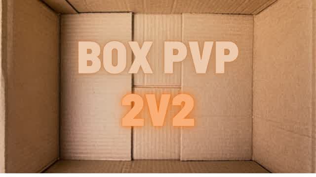BOX FIGHT 2V2