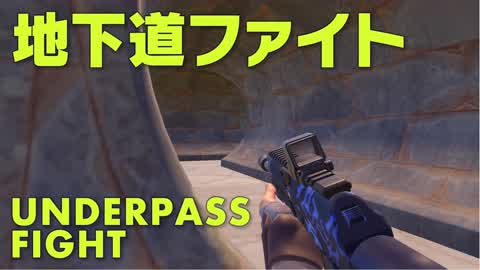 Underpass Fight