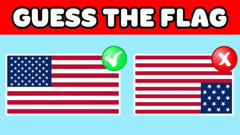 GUESS THE CORRECT FLAG!