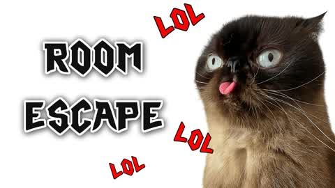 Donut LOL Escape Room Fun IQ