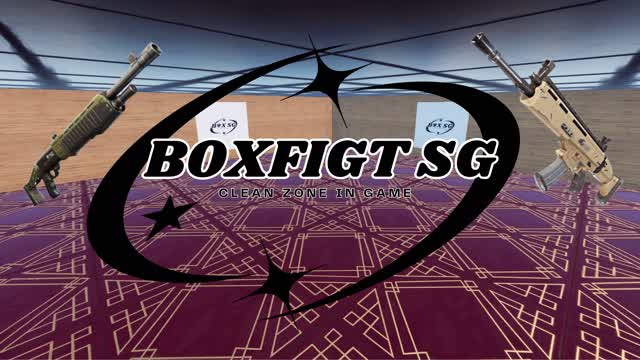 BoxFight SG (боксфайт СГ)
